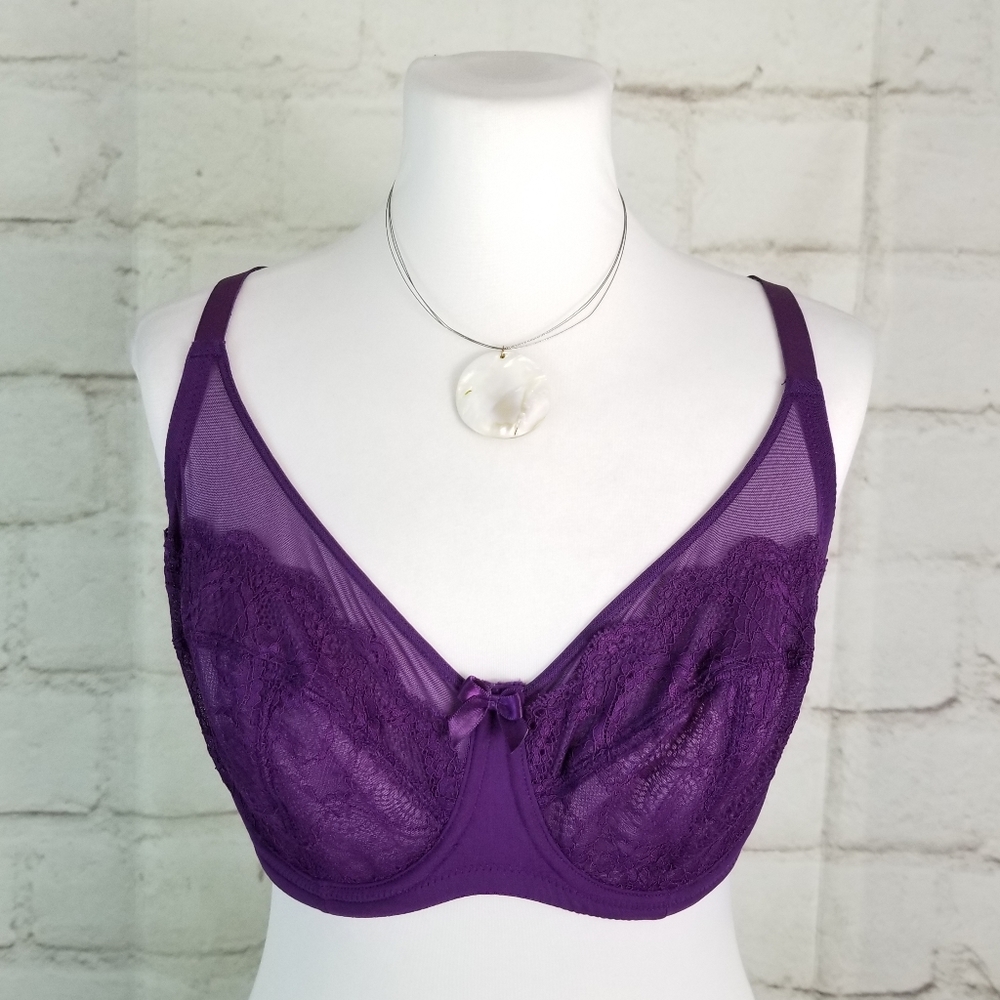 Parfait 36DDD Purple Lace & Mesh Underwire Bra